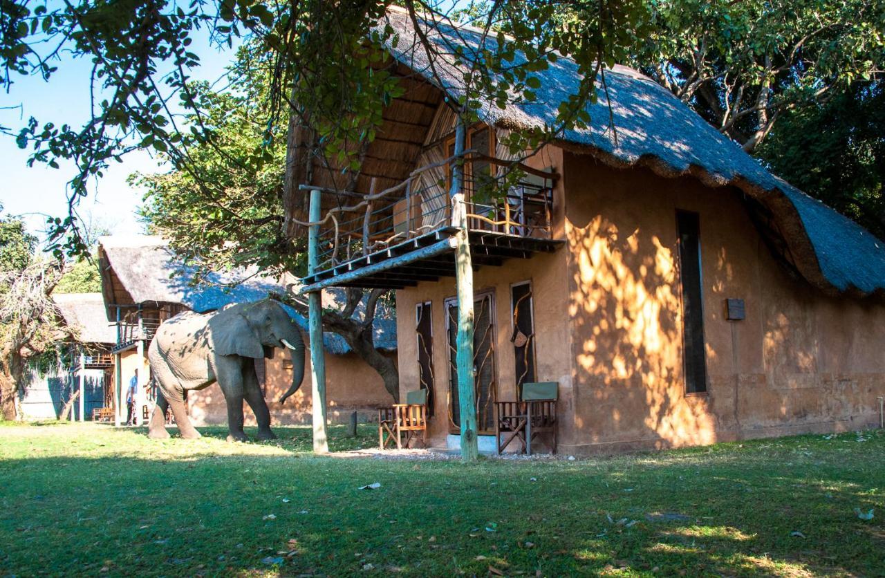 Track And Trail River Camp Kakumbi Extérieur photo
